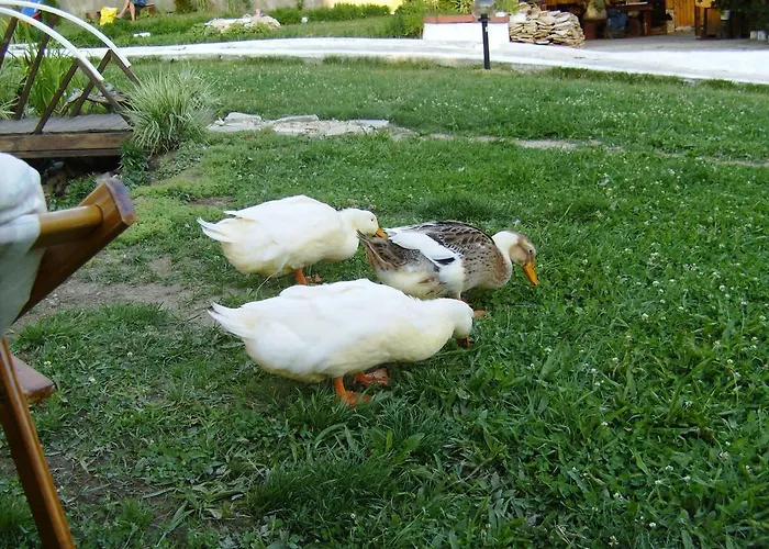 Classic Maison d'hôtes Dospat